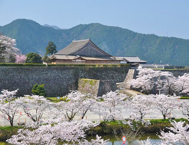 Sasayama Castle Site: The famous castle which was built in 1609