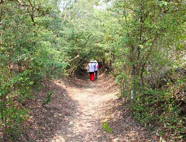 Negoro-michi: the pilgrimage route in Kagawa(Sanuki)