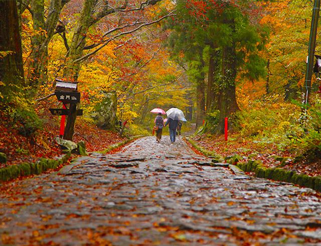 Stone path of Ogamiyama-jinja Okumiya