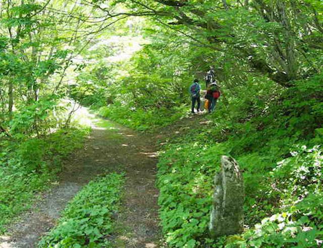 大山道(横手道)と
一町地蔵(いっちょうじぞう)