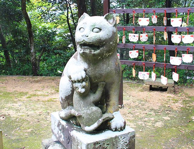 Konpirajinja shrine (Komaneko cat)