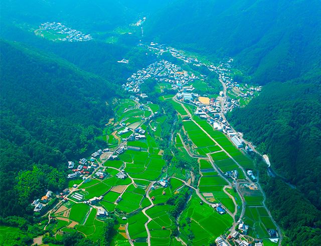 Farmland landscape in the Hinenosho-ogi manor district