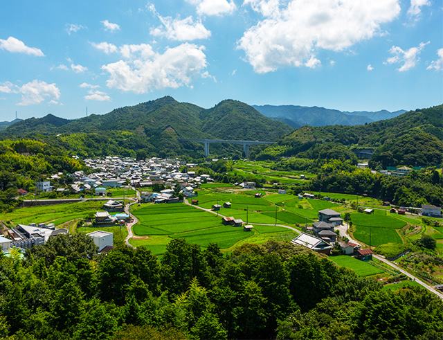 土丸・雨山城跡(つちまるあめやまじょうあと)