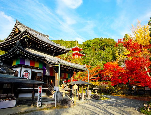 The 15th temple, Imakumano Kannonji Temple, Main Hall