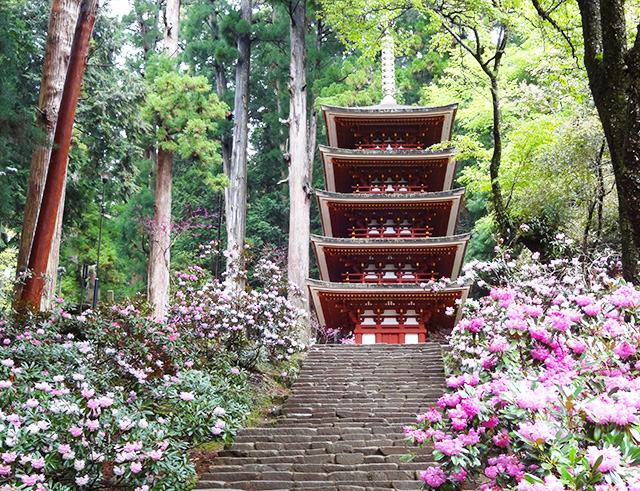 Five-storied pagoda (national treasure) of Murouji Temple