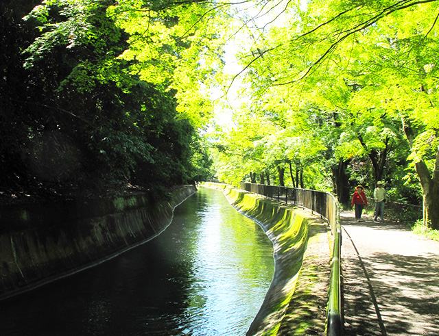 Yamashina canal