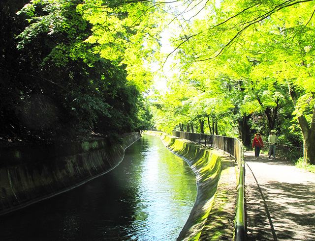 山科疏水