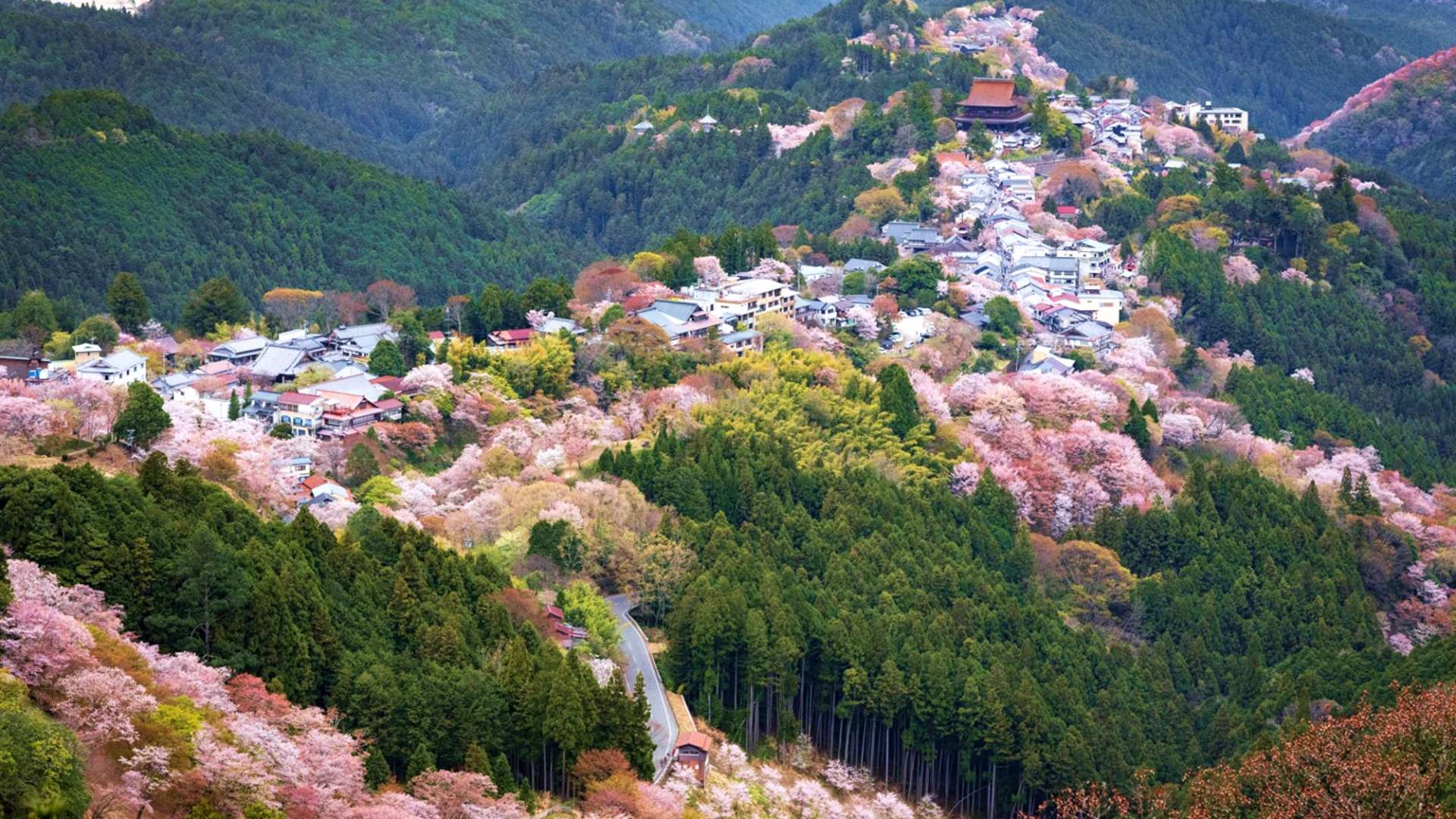 奈良県　吉野町