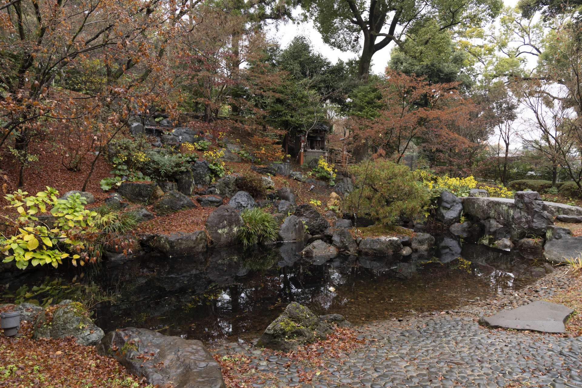 Even in winter, Japan’s former capital is full of color.