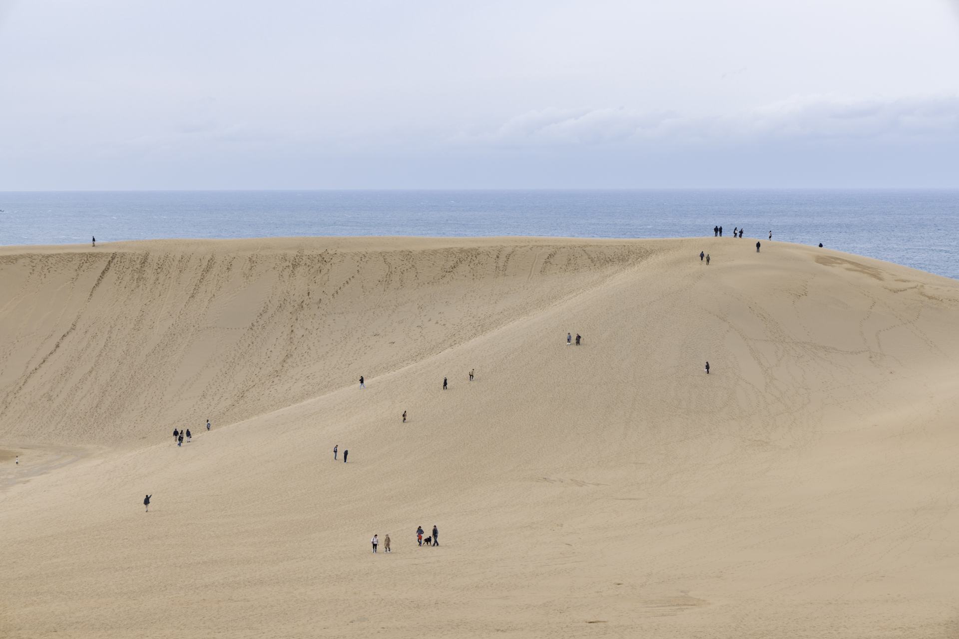 Humans look like little ants walking on the openly large and wide sand dunes.