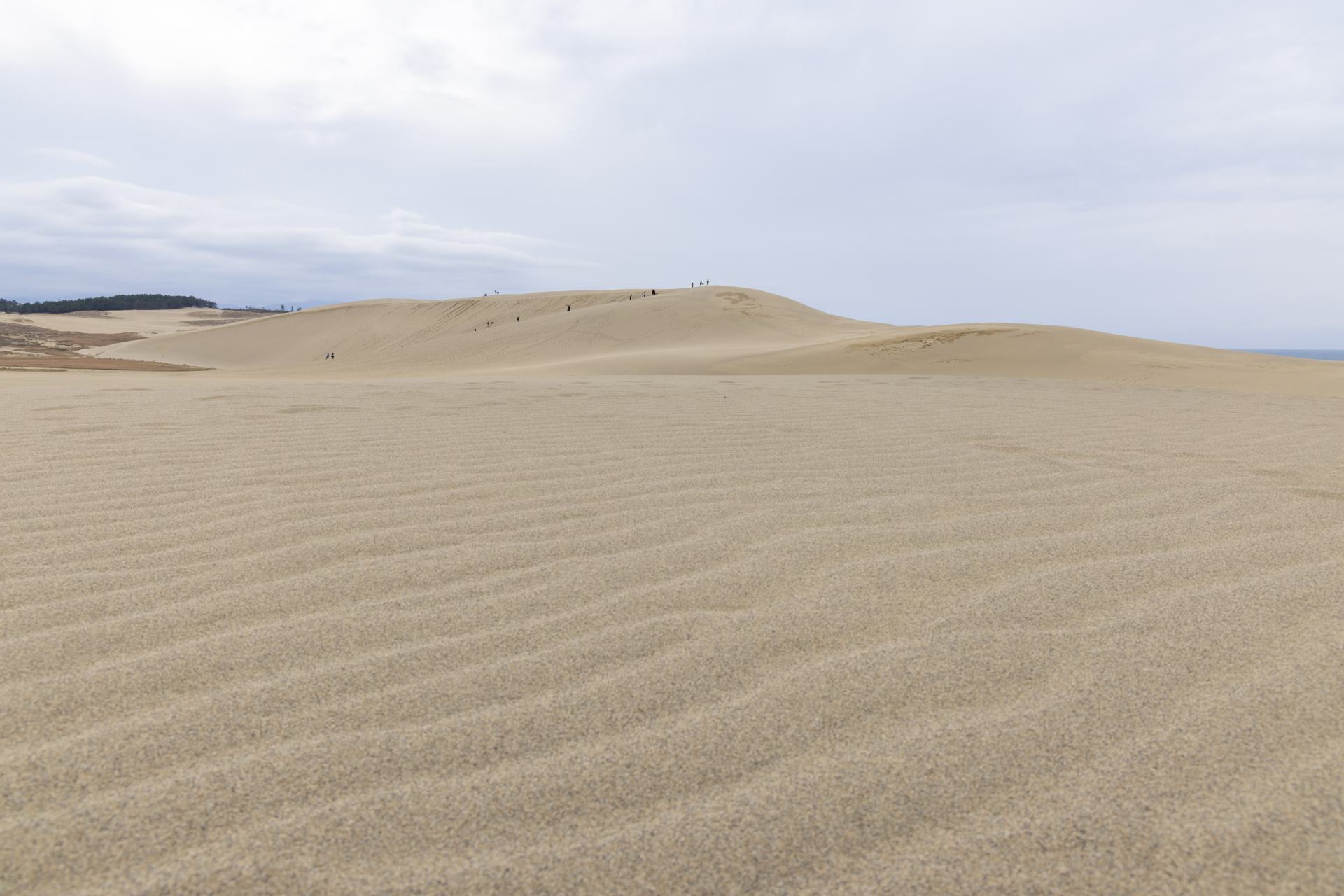 The beautiful sand dunes of Tottori.
