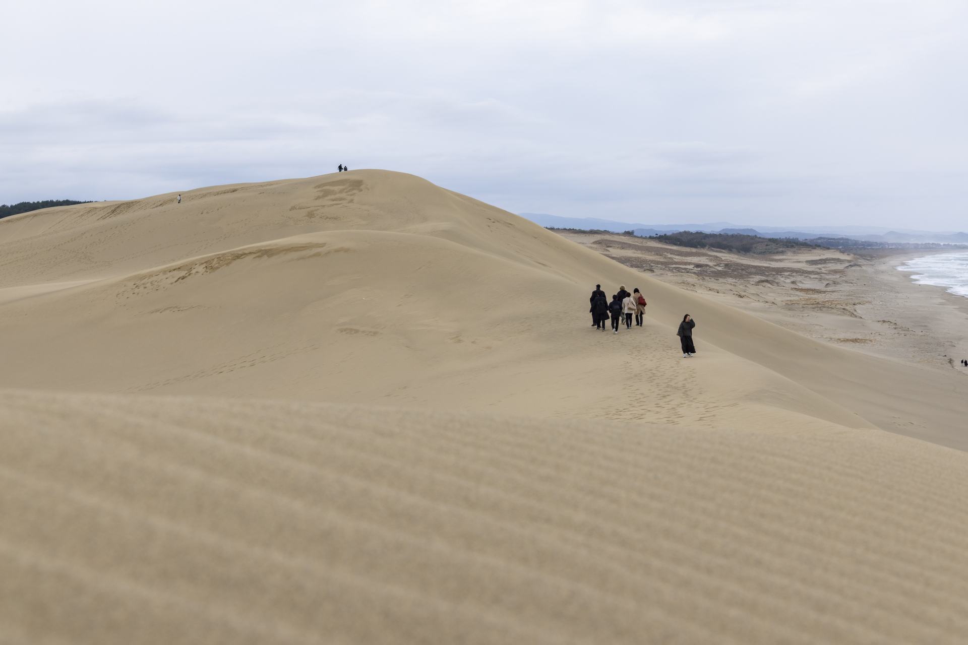 「馬の背」とよばれる壮大な砂丘列。