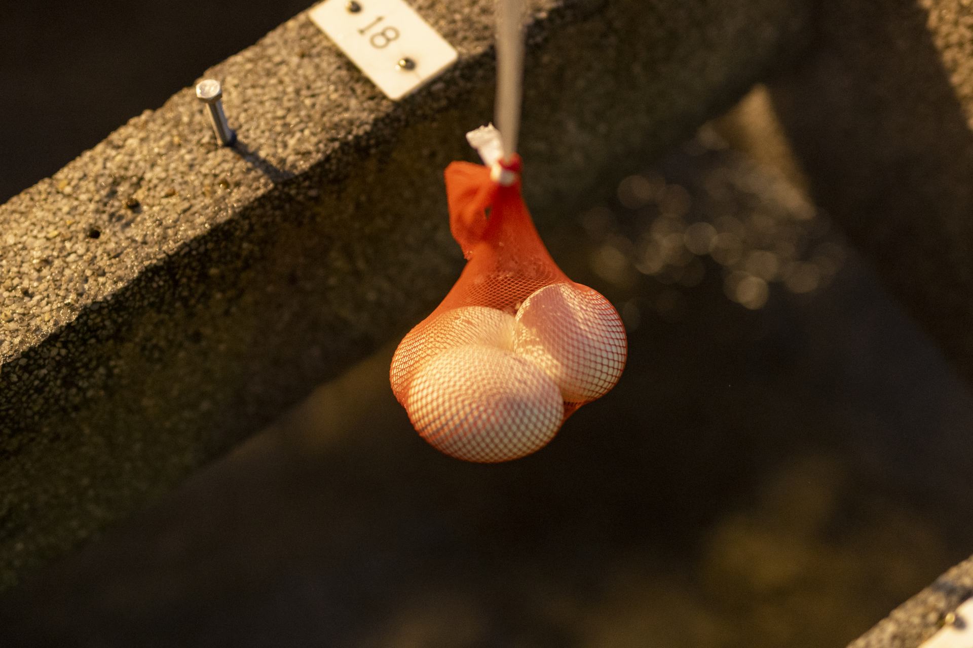 Cooking eggs in Yumura’s Arayu public hot spring source.