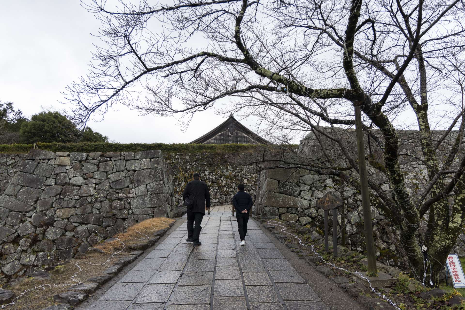 Sasayama Castle.