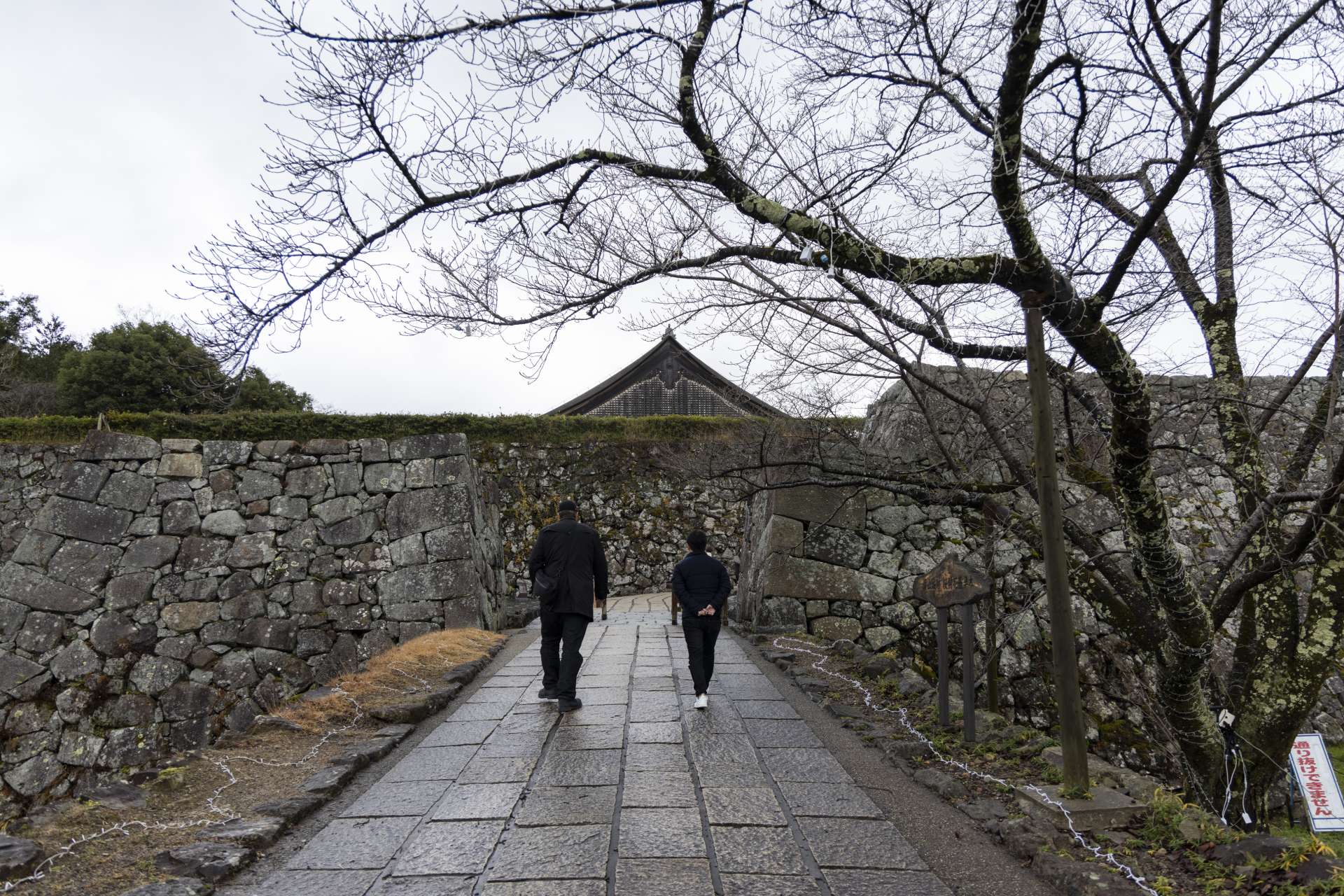 篠山城