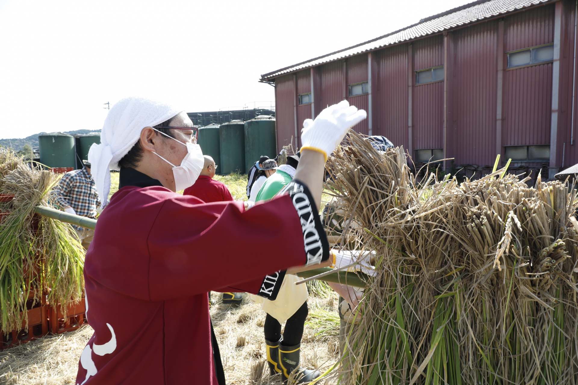 Events such as rice harvesting experiences are also held.