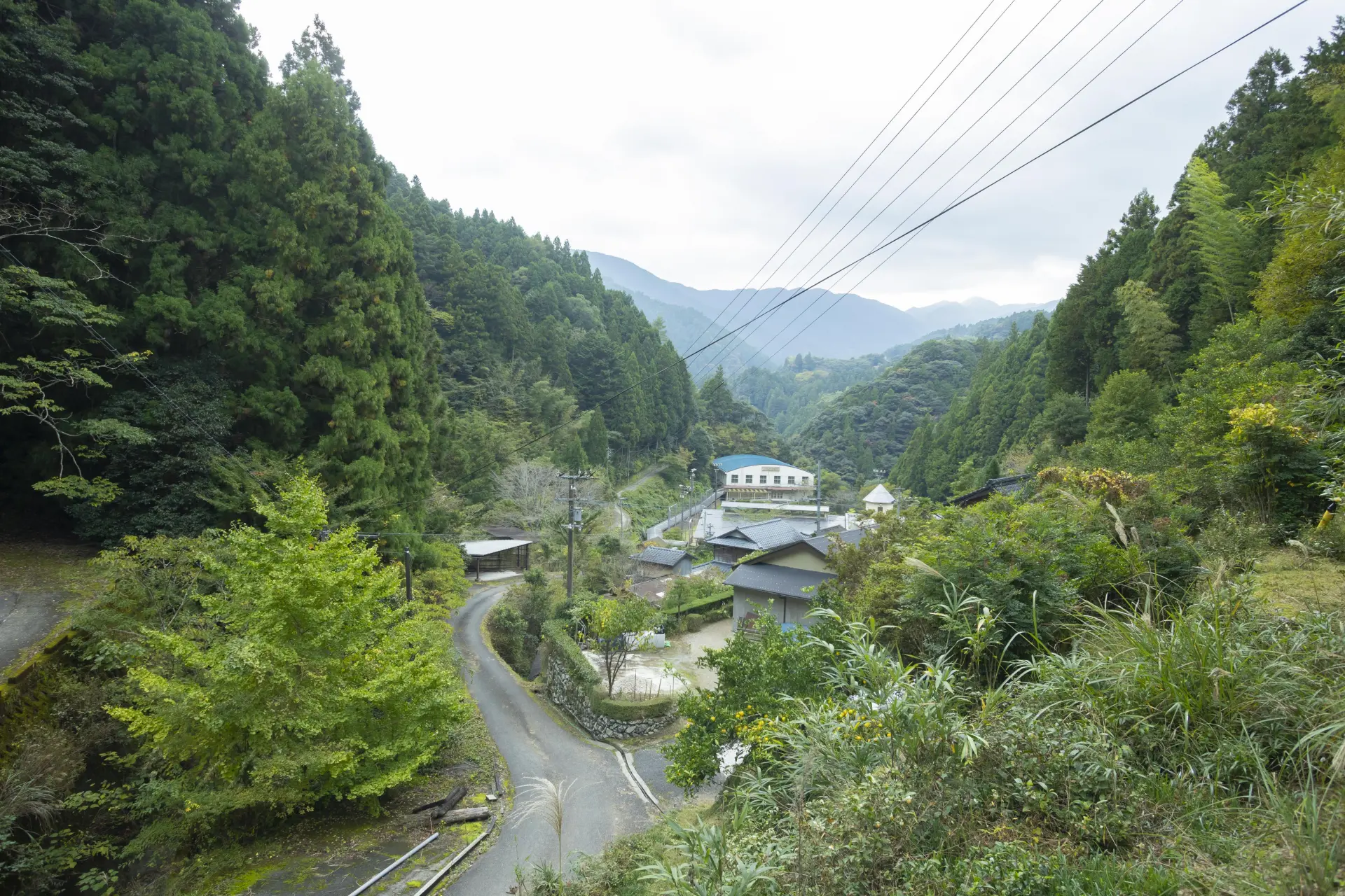自然と人の暮らしが、寄り添いながら共存している上勝町をドライブして次のスポットへ