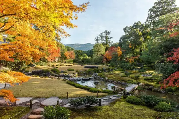 Murin-an