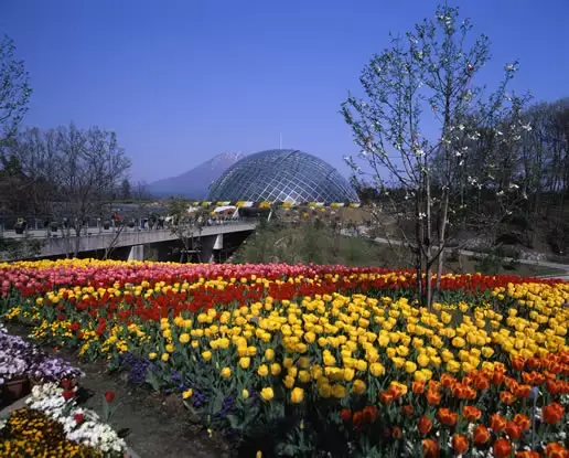 Tottori Flower Corridor