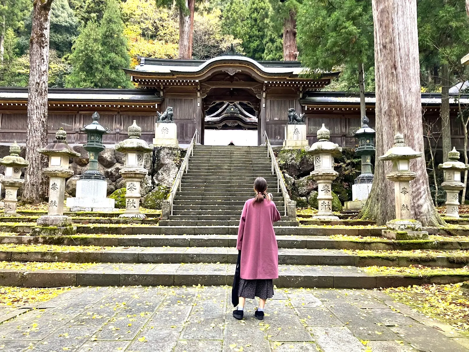 時を超えた伝統: 京都と越前の職人技と伝統産業をめぐる旅
