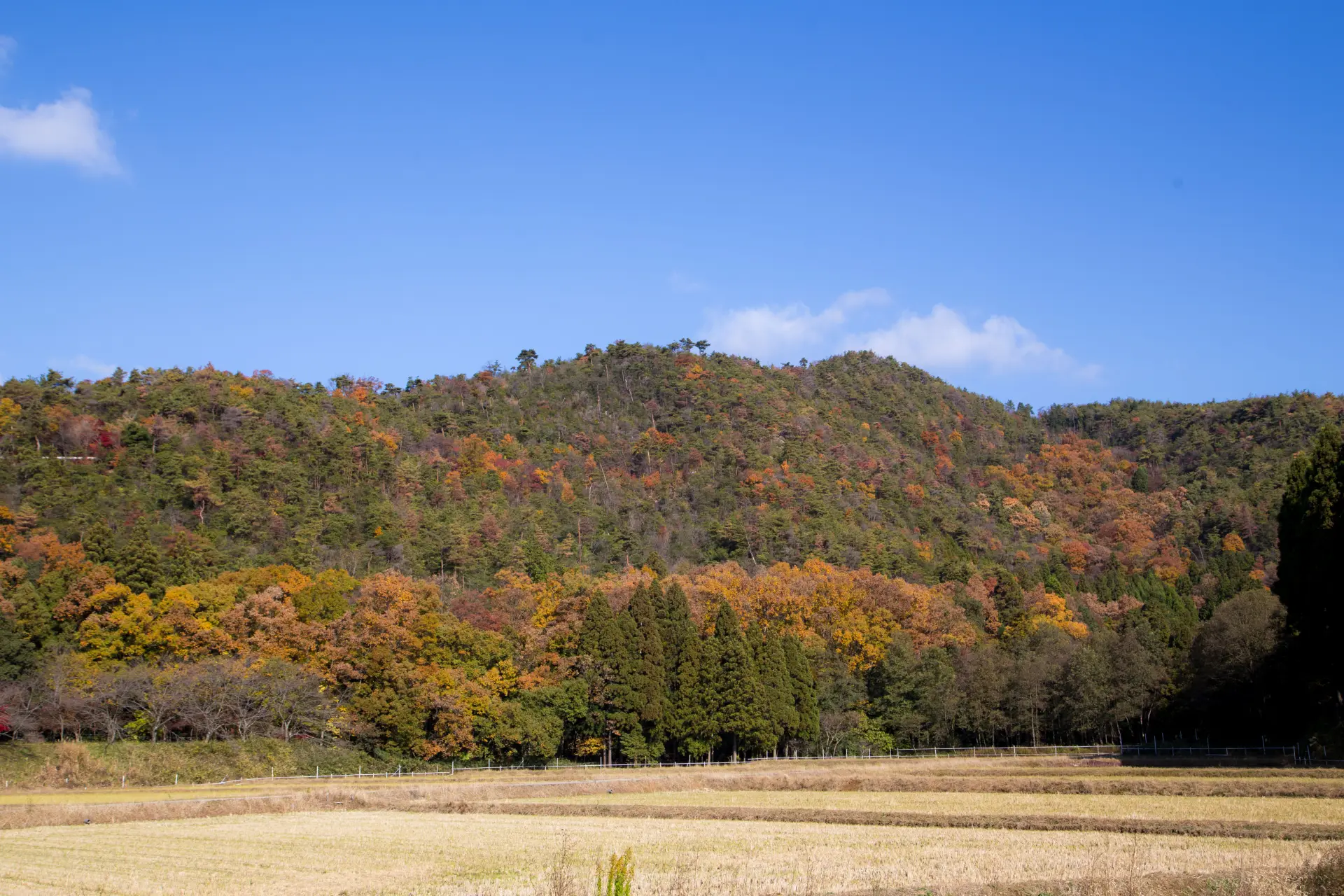 Mt. Odani