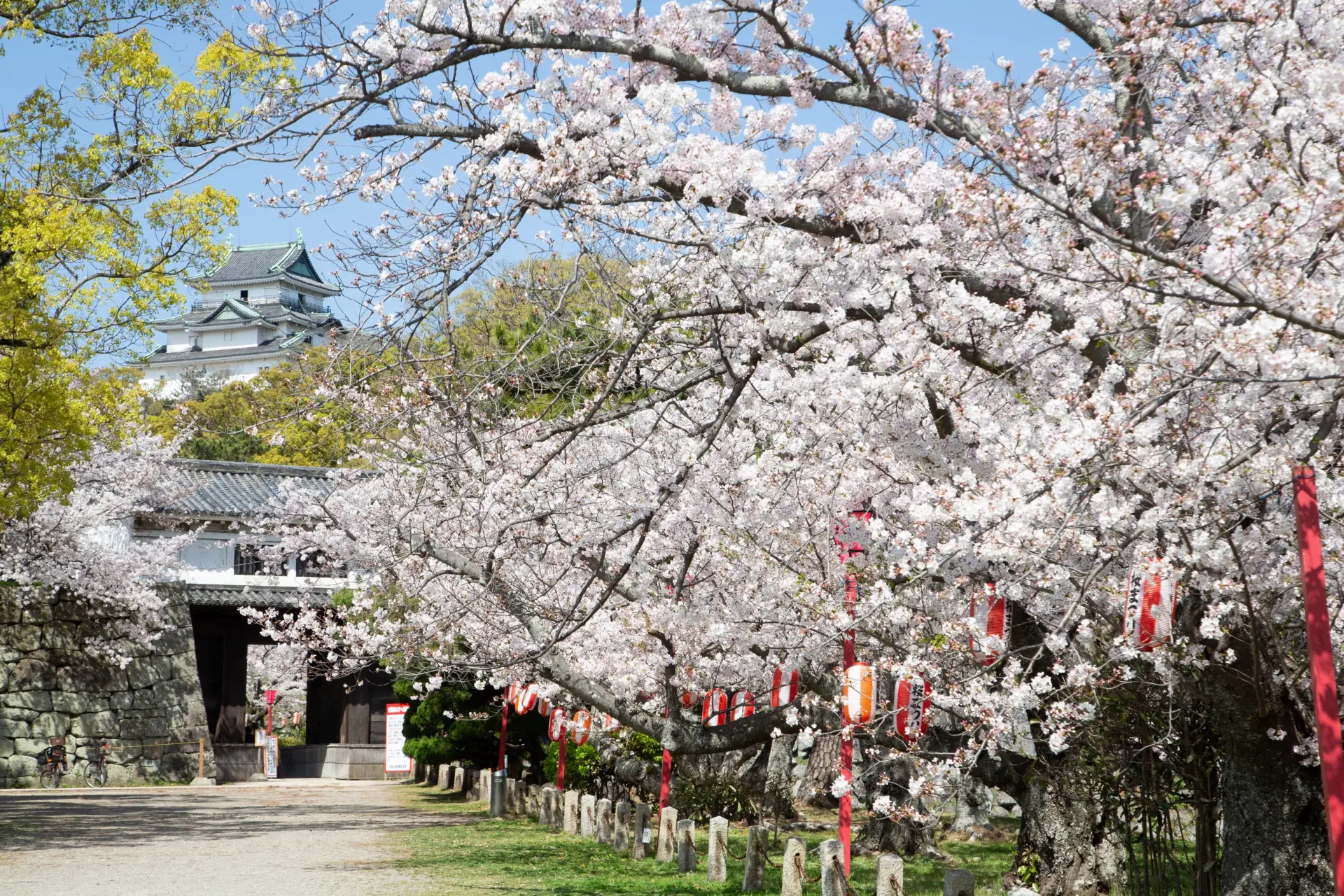 Castles of Toyotomi Hidenaga