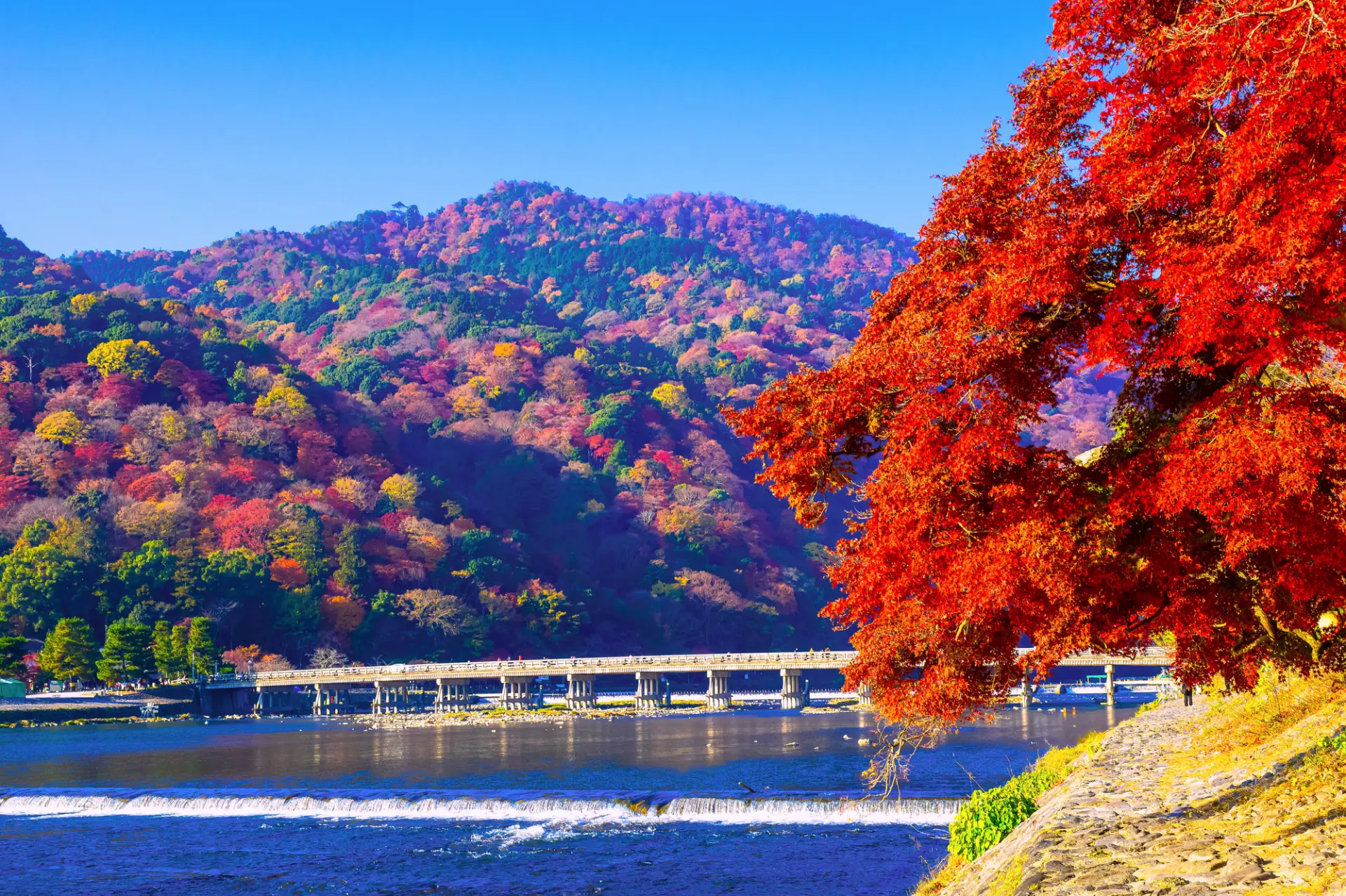 四季折々に表情を変える絶景を楽しめる嵐山