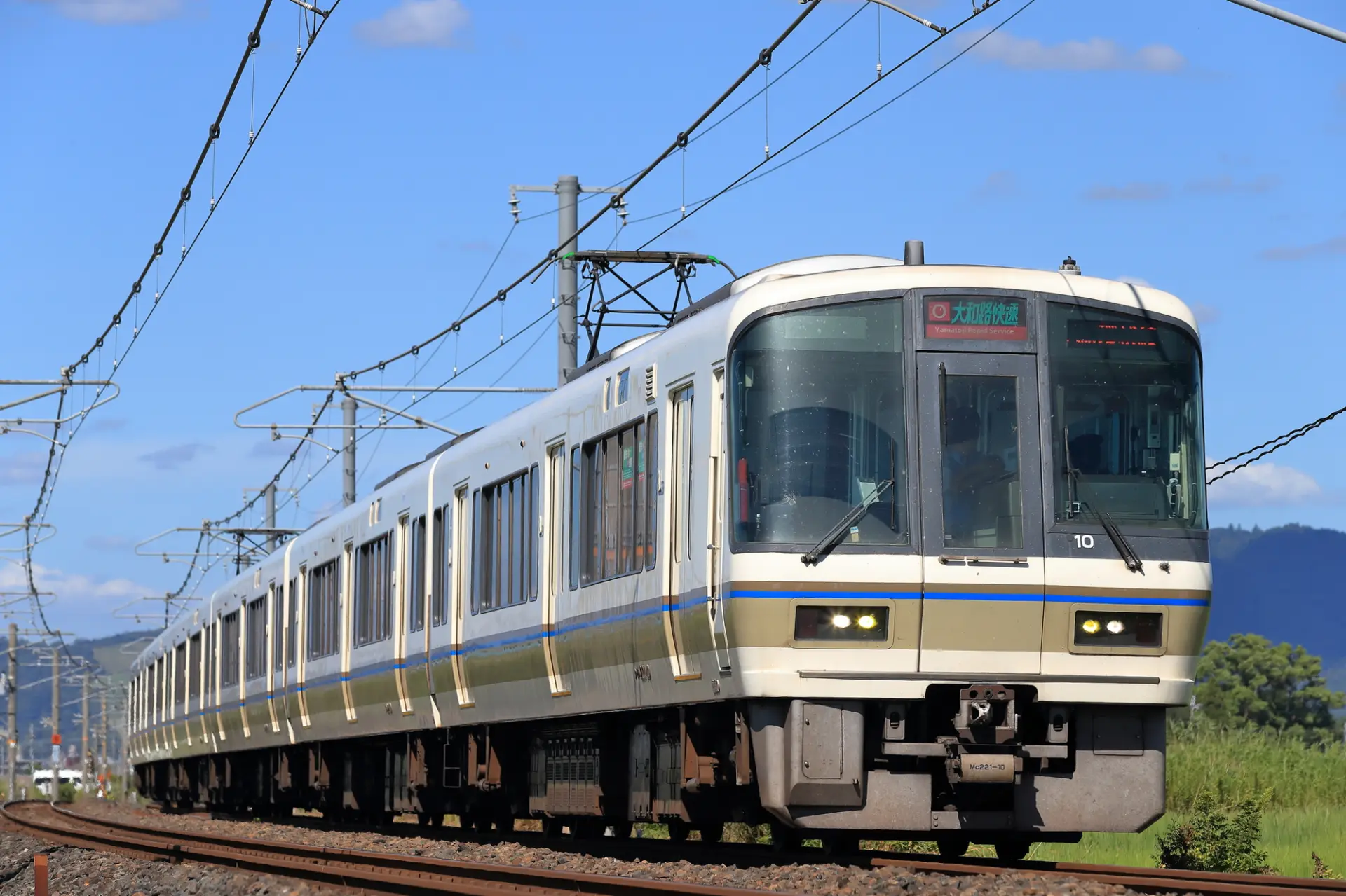You can reach Nara from Osaka in under an hour as well.