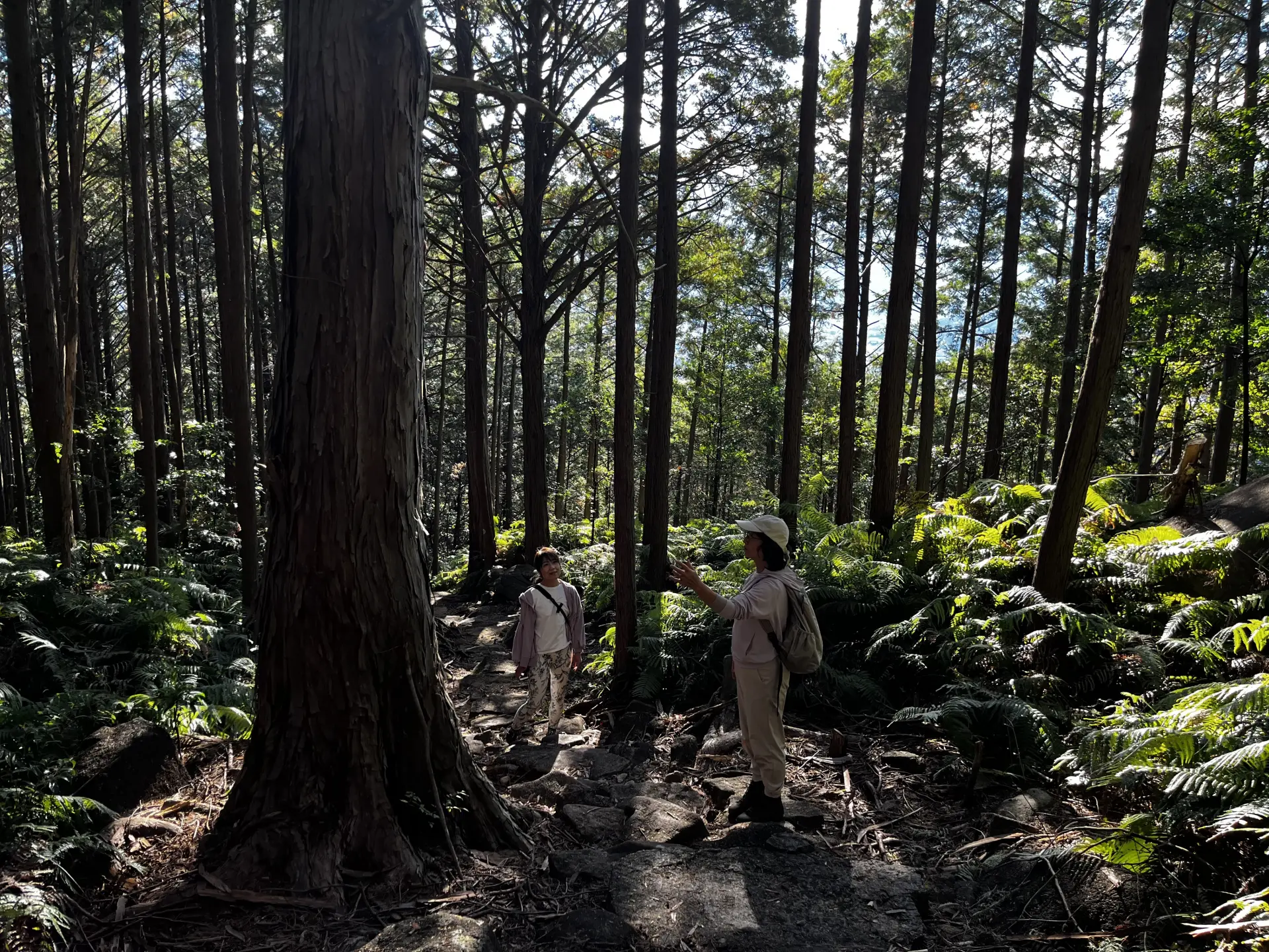 5 Local Experiences Not Found in Guidebooks: Mie Edition