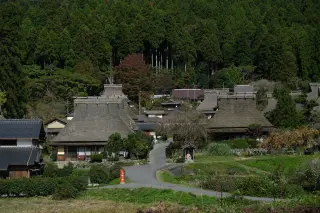 Beyond Kyoto to Hyogo: A 4-Day Kansai Journey Through Chirimen Silk, Hot Springs & Forest Trails