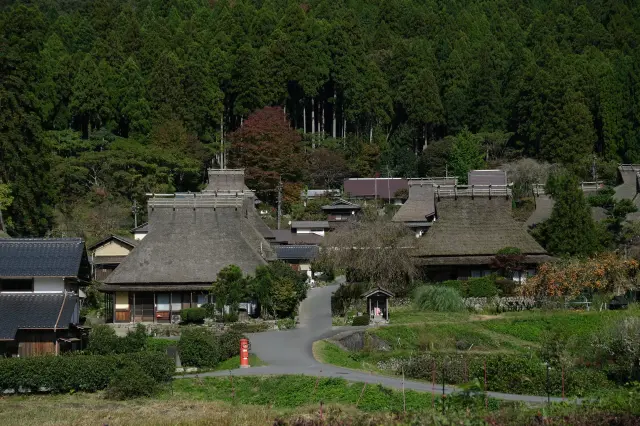 Beyond Kyoto to Hyogo: A 4-Day Kansai Journey Through Chirimen Silk, Hot Springs & Forest Trails