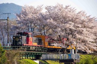20 Top-Rated Tourist Attractions in Kyoto.