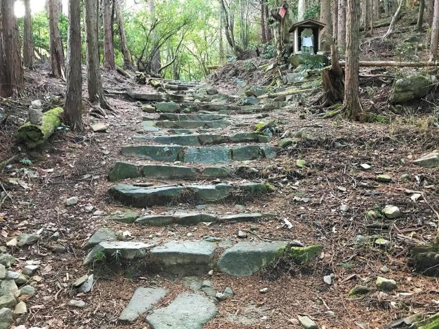 Mt. Hiei Hiking