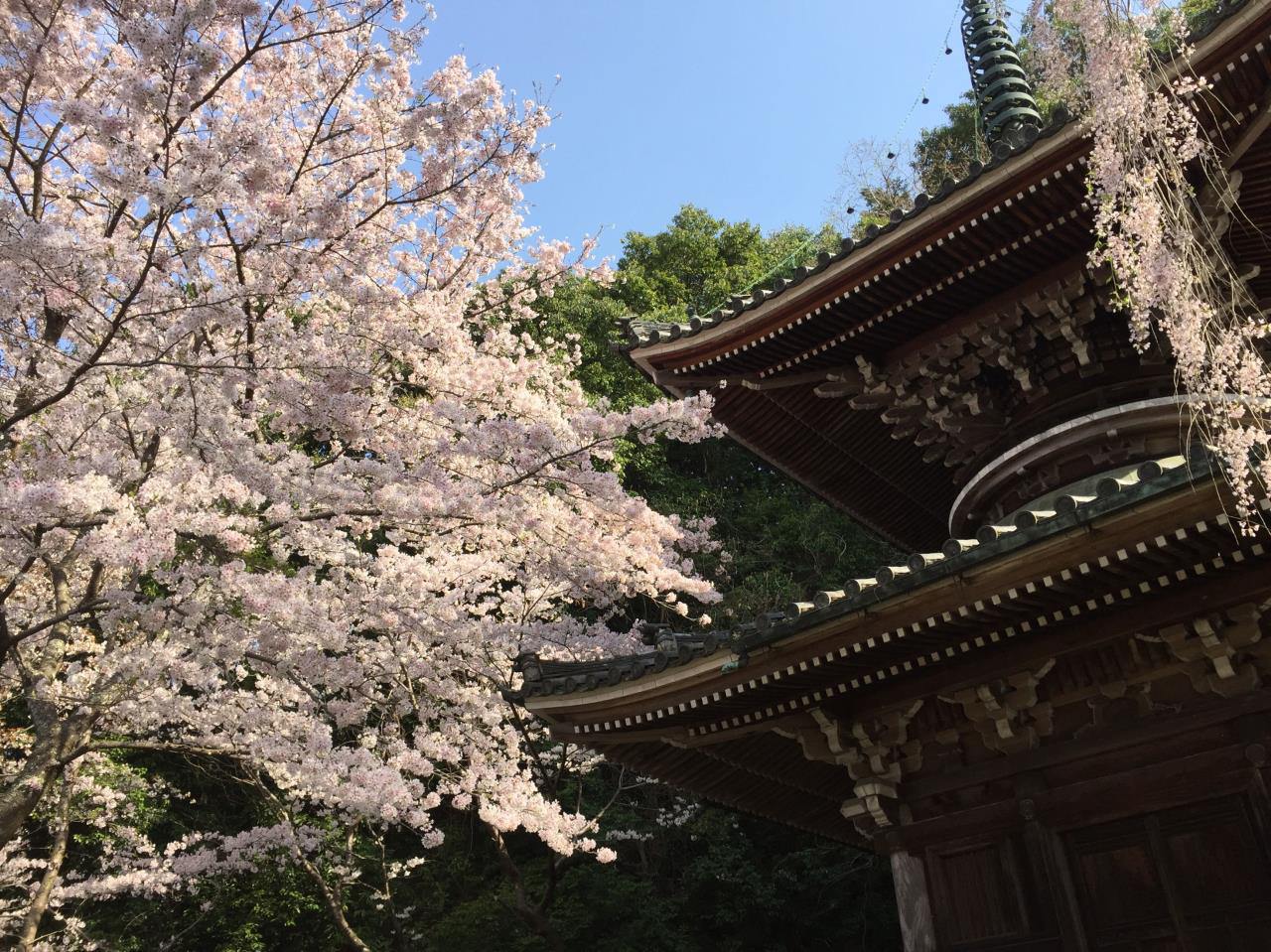 Nyoirinji Temple