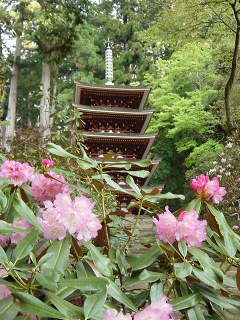 室生寺