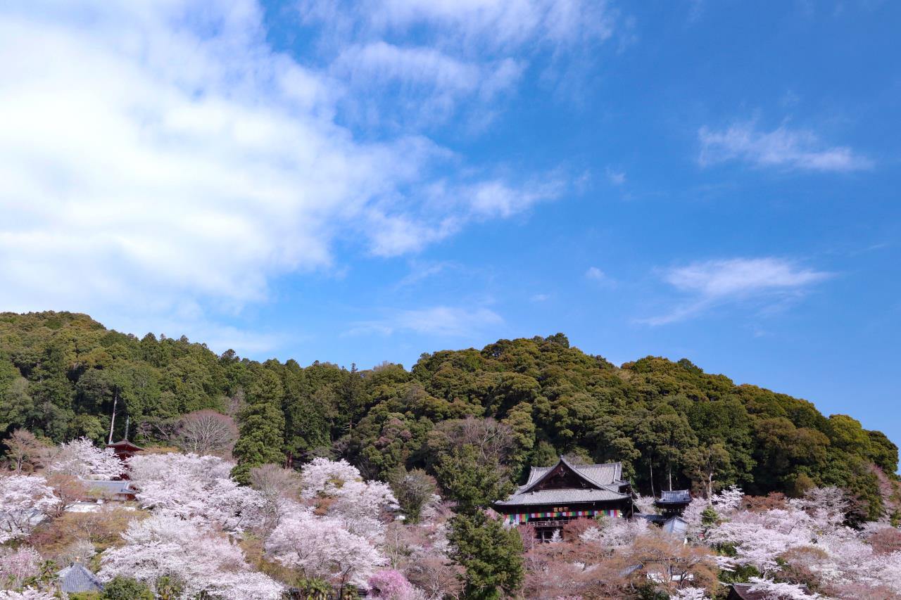 Hasedera Temple