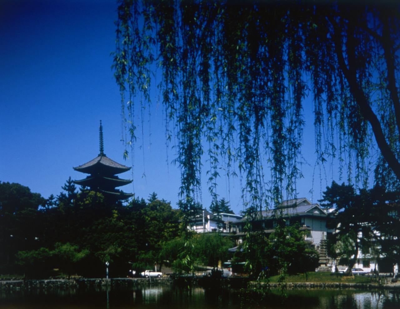 Temple Kofukuji