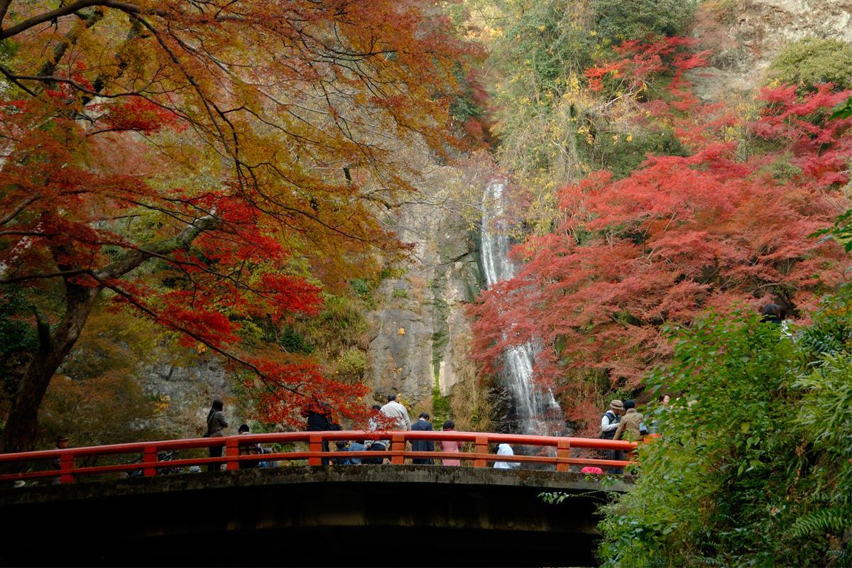 Parc quasi national de la forêt de Meiji Minoh