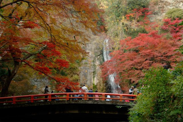 Meiji no Mori Minoh Quasi-National Park