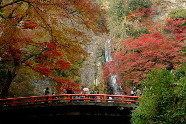 箕面国定公園の紅葉