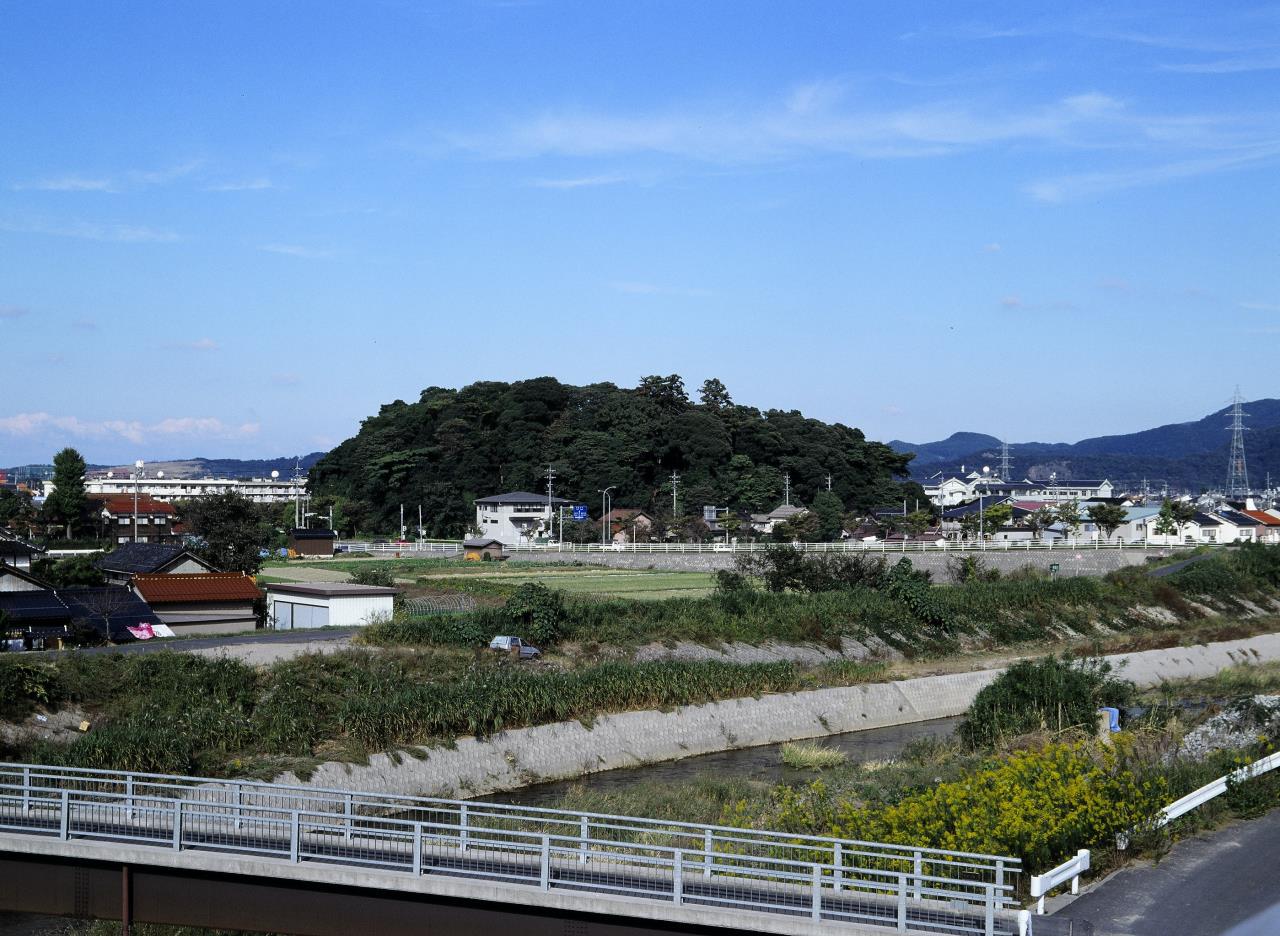 Woods of Onomi-no-Sukune-no-Mikoto Shrine