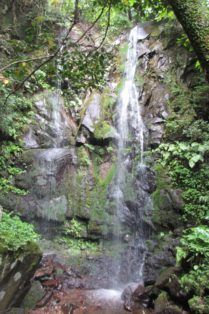 不動滝(一ノ滝)