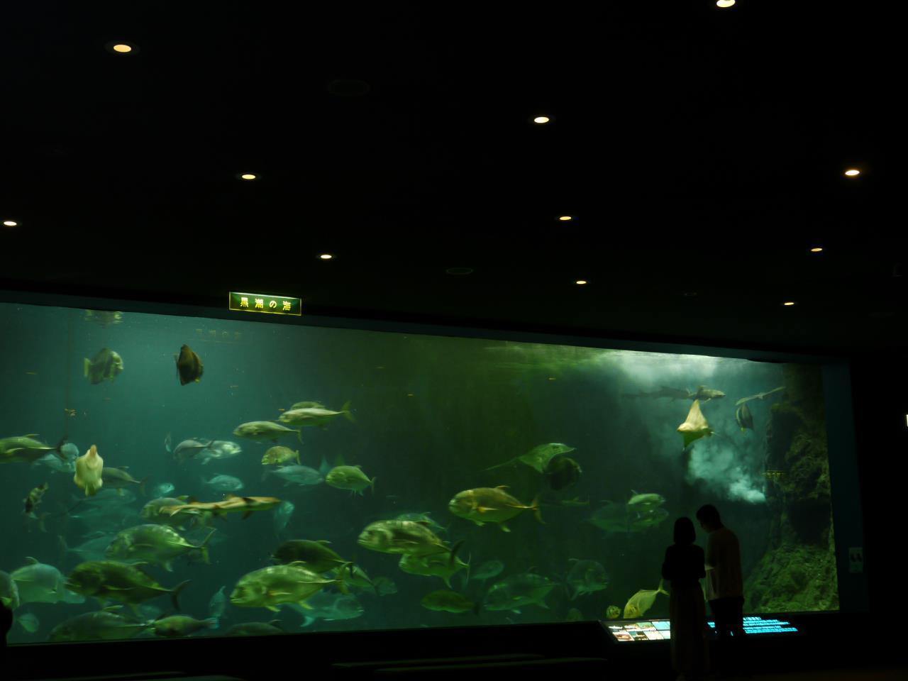 Musée préfectoral d'histoire naturelle de WAKAYAMA