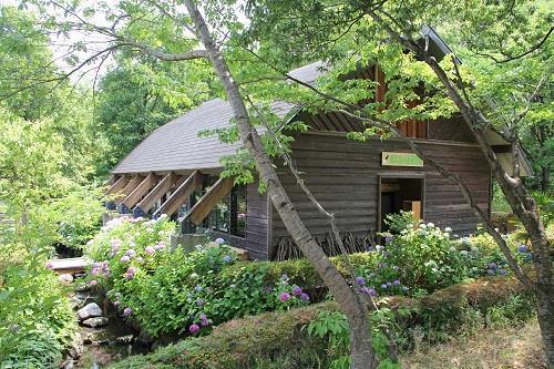 Institut Moriyama des bois des lucioles