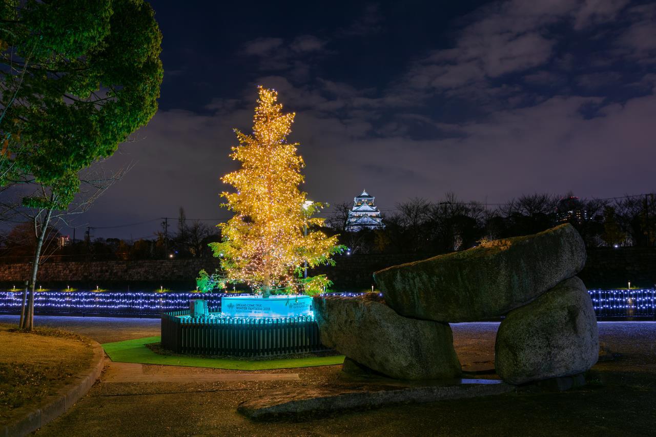 Shiromi Ryokudo Park Dreams Come True Tree