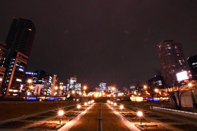 Jardín de rosas del parque Nakanoshima (invierno)