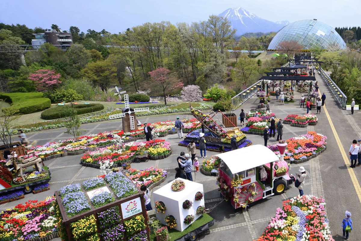 とっとり花回廊