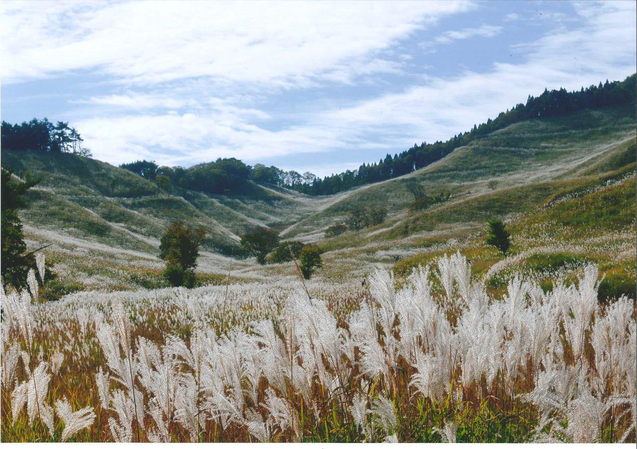 Meseta de Tonominé