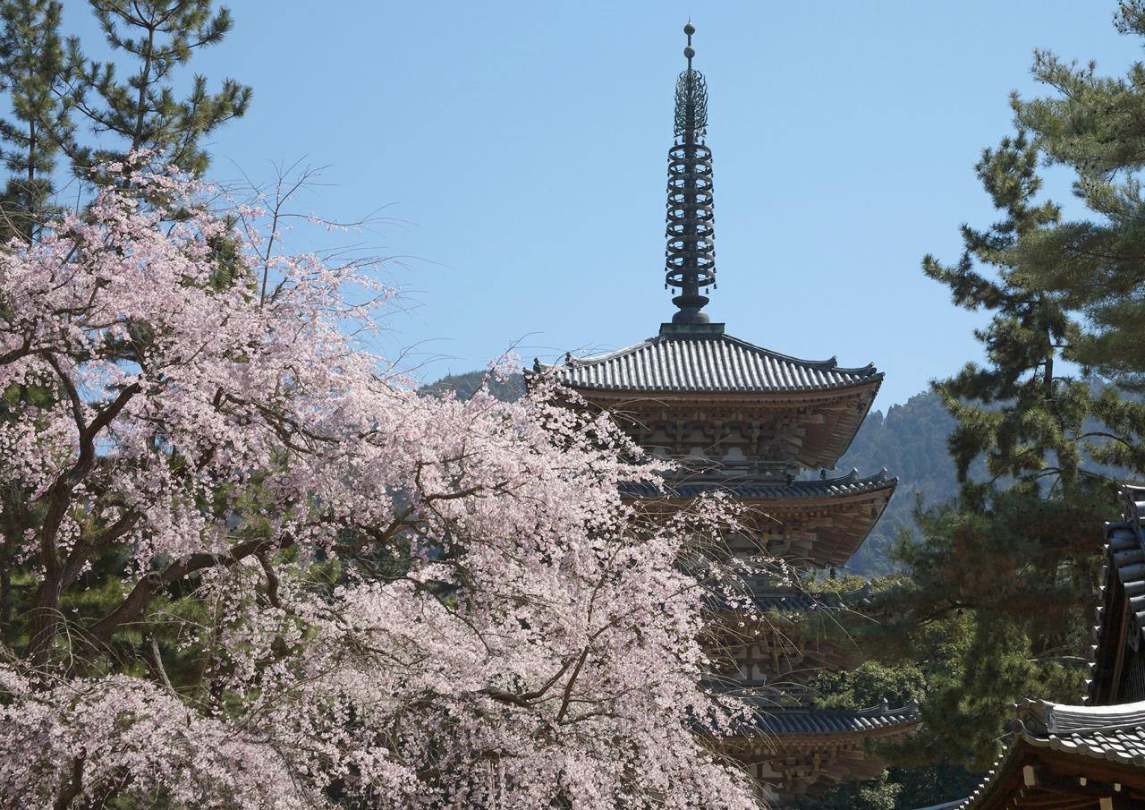 Templo Daigo-ji