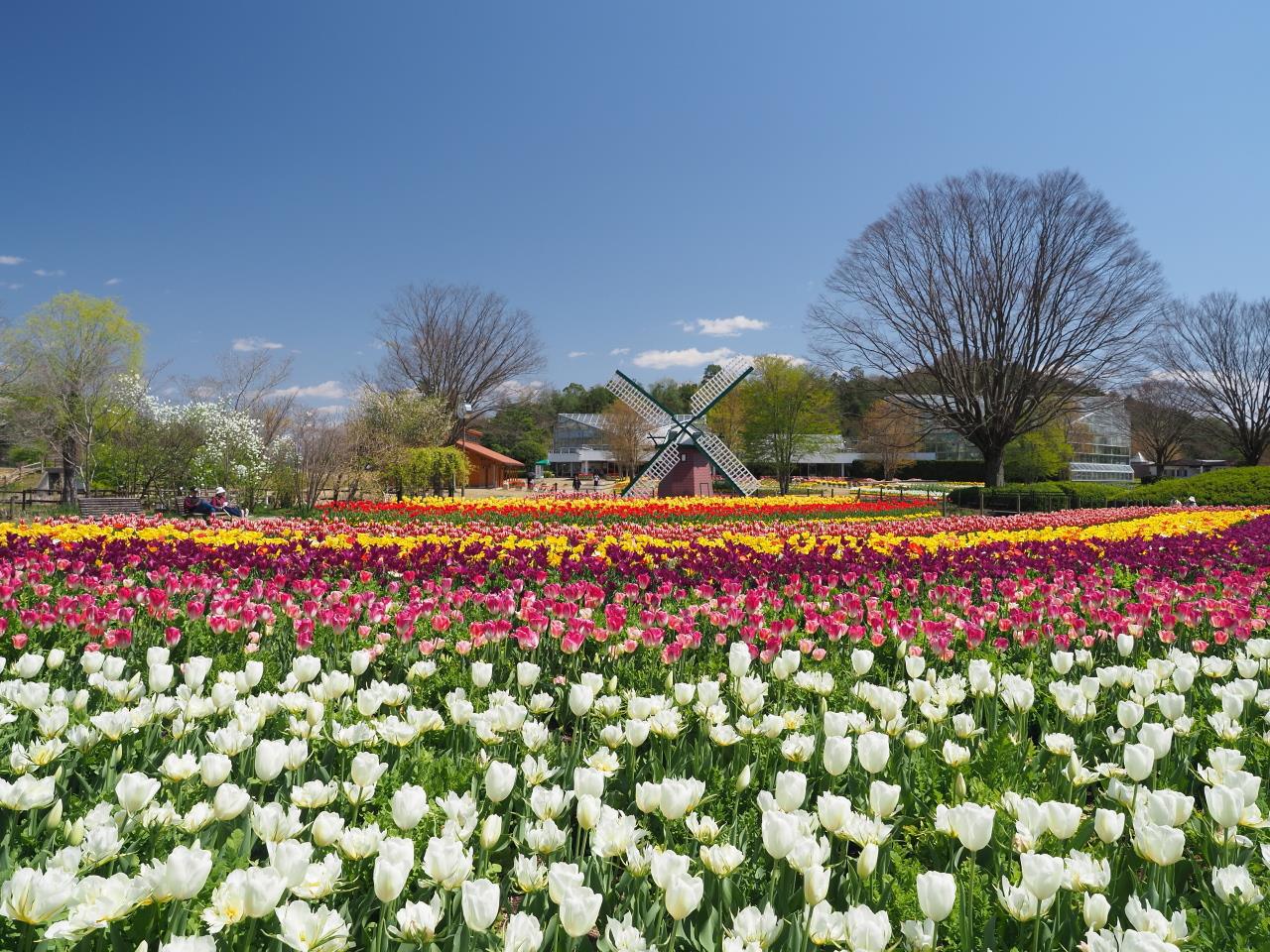 Centro de Flores de la Prefectura de Hyogo